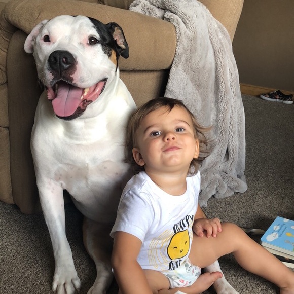 Meet your Posher, Katie - Picture 3 of 4